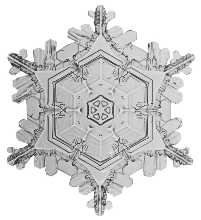 One of a set of 10 Bentley photomicrographs of snowflakes, circa late 1890s-1920s, that sold as a set at Sotheby’s for $10,000.